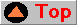 top.gif (1101 bytes)